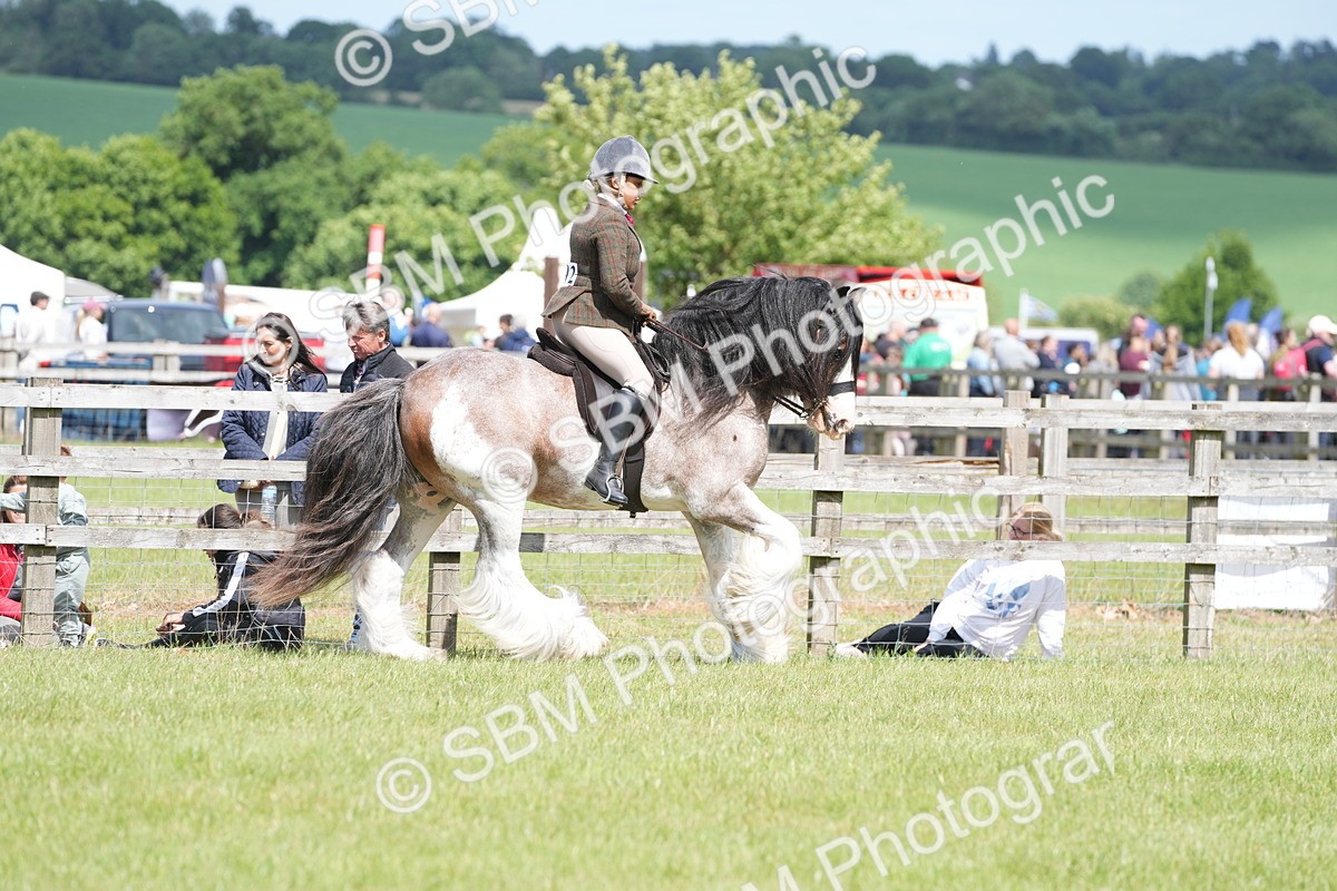 SBM_17201 - Class 107-108 - LIHS BSPS Performance Coloured Horse Pony