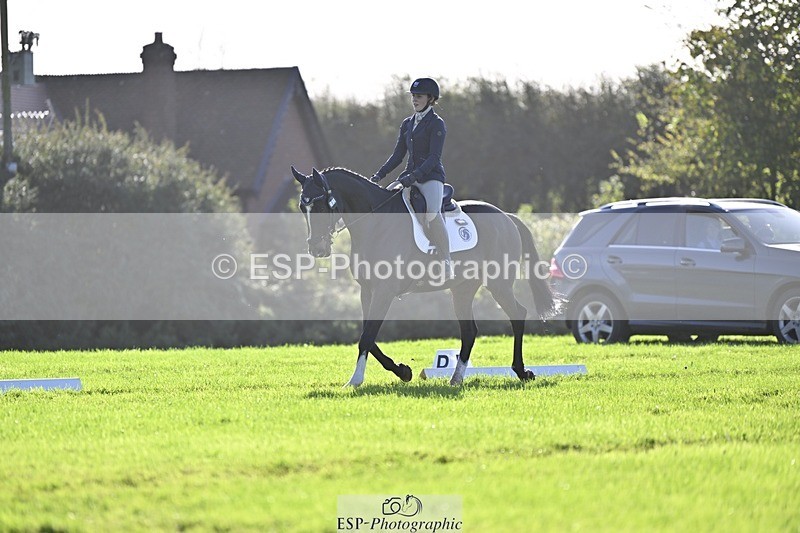 241025-111606-06812 - 365-Charlotte.Cutler-HOLY.STREET