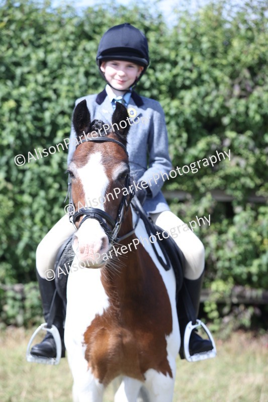 20250831-2542 - Class 16 - Family Pony