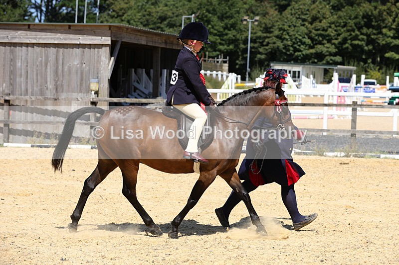 1X9A8951 - Ring Three Championship