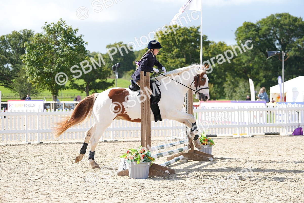 SBM_16833 - J58 - Clear Round 50cm