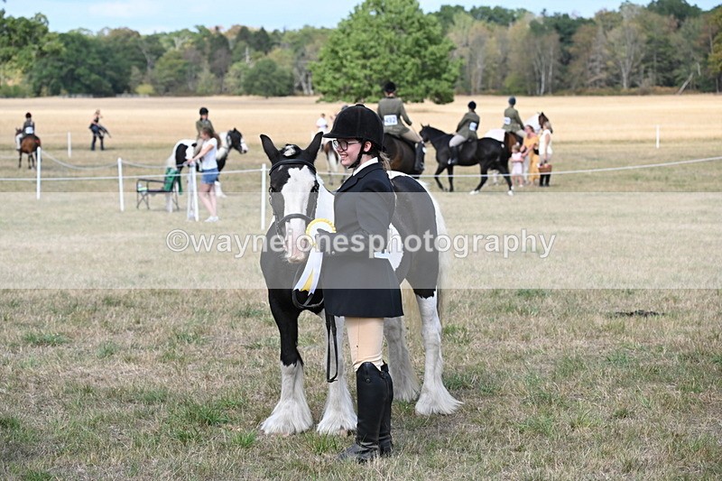 WJ6_6764 - Class 20 In-hand Cob