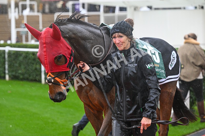 141125-Race 1-Walkadina-8964 - Race 1