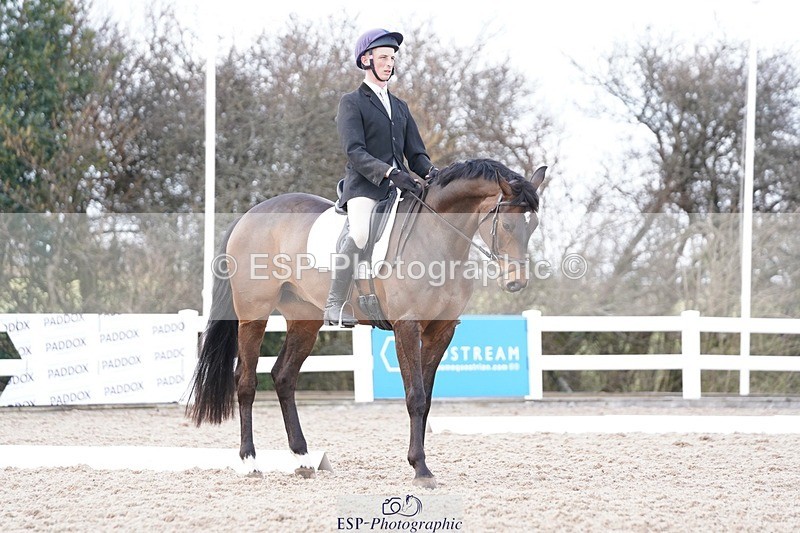 250322-132744-00506 - DR Elementary 2 Test