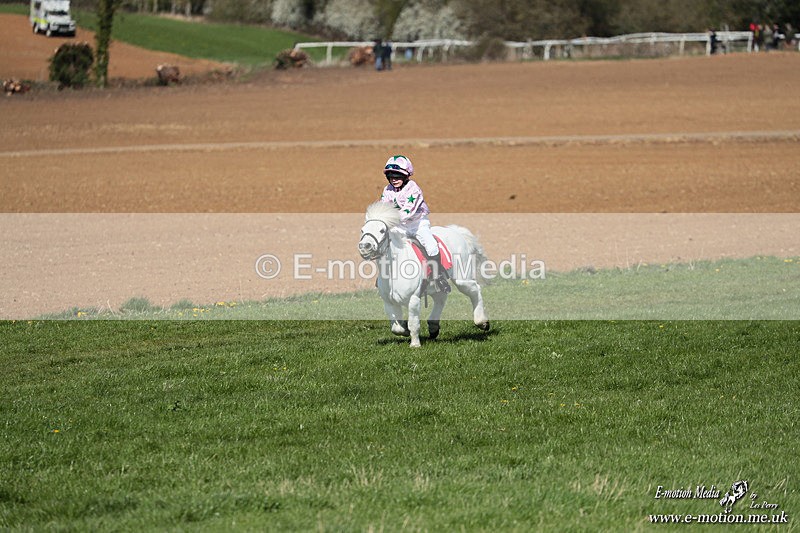 Shet 060426 138 - Shetland Pony Racing Paxford Races Easter Mon 06/04/26