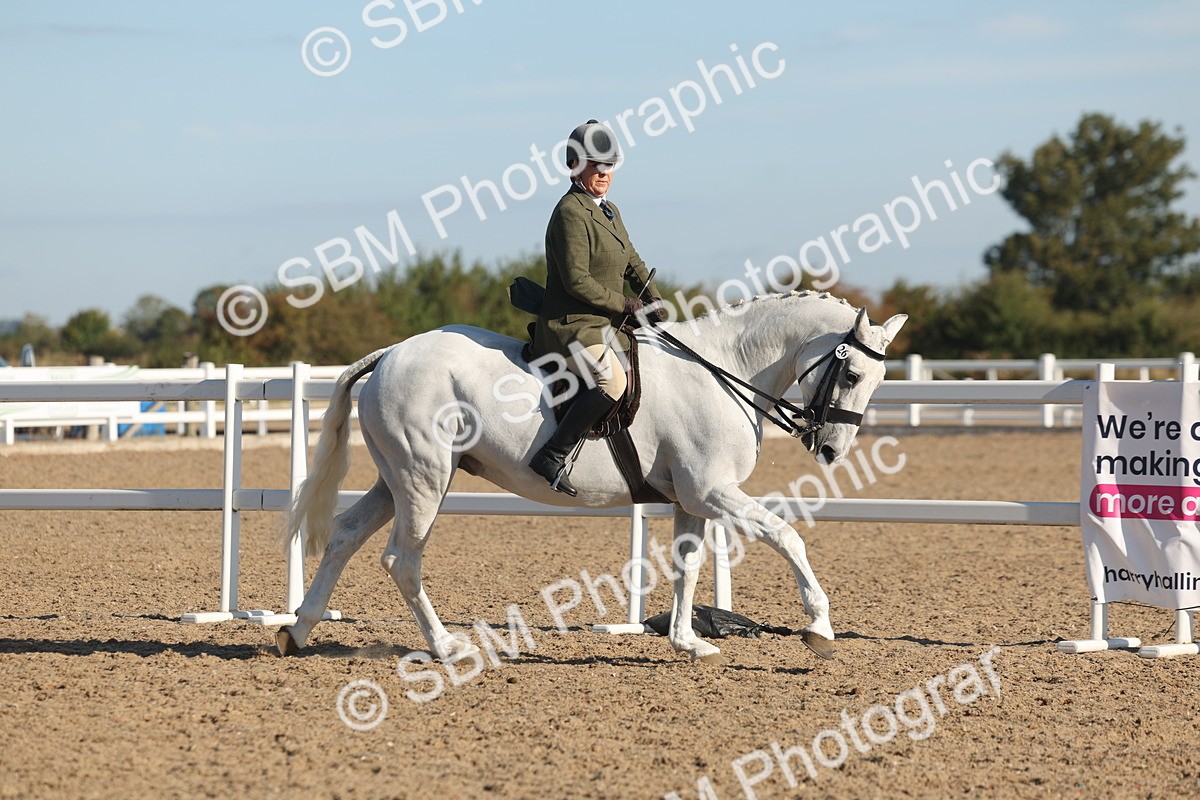 SBM_12173 - Class 303 - Ridden Pure Bred Horse Pony