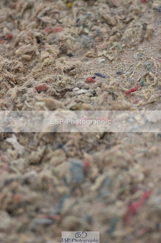 230916A-103438-03449 - Cls 21 British Novice & 90cm Open