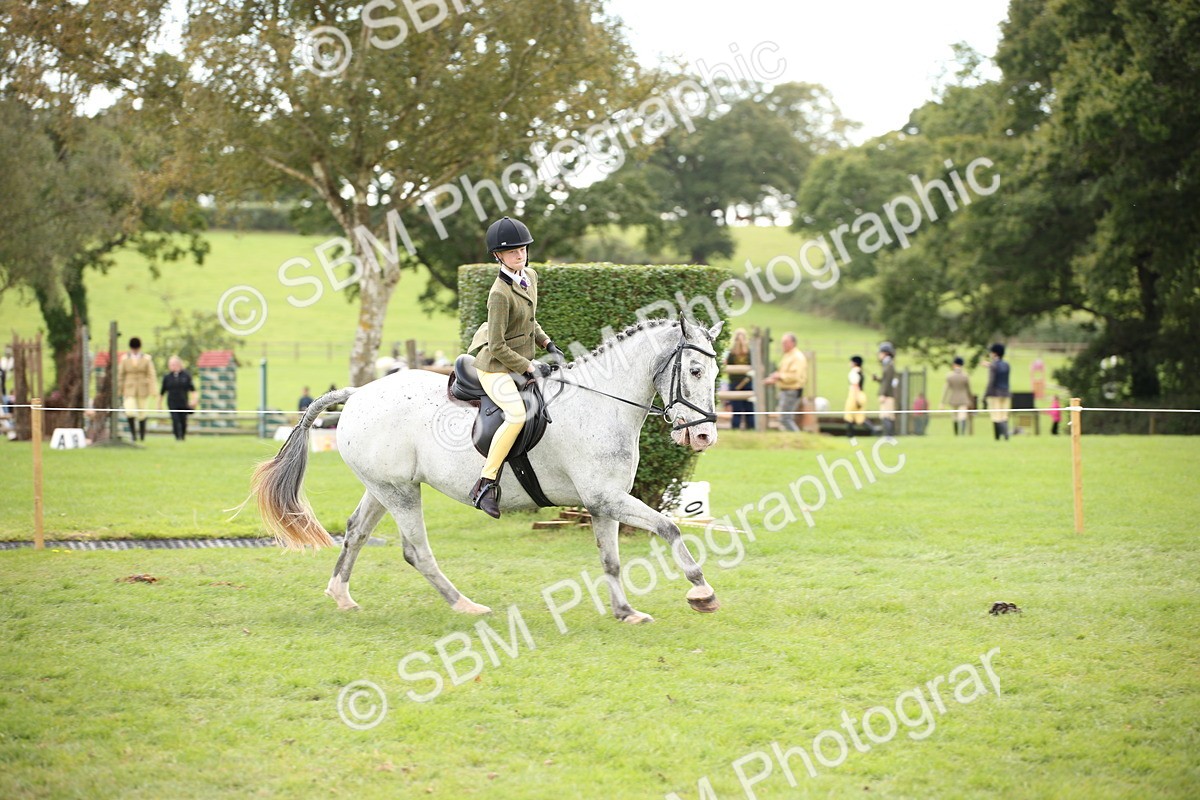 SBM_42296 - S13 - Pony Club Pony