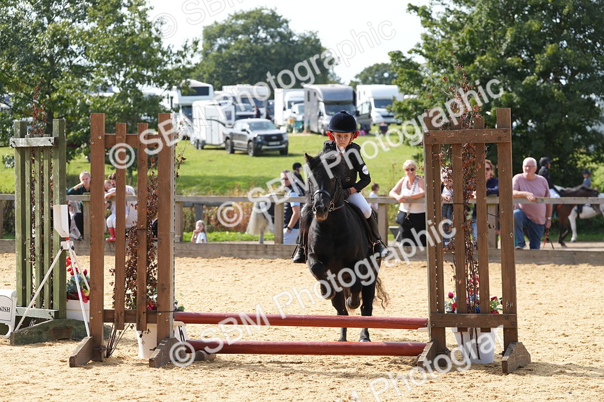 SBM_68435 - J3 - Mini Tour Junior Pony 40cm Championship
