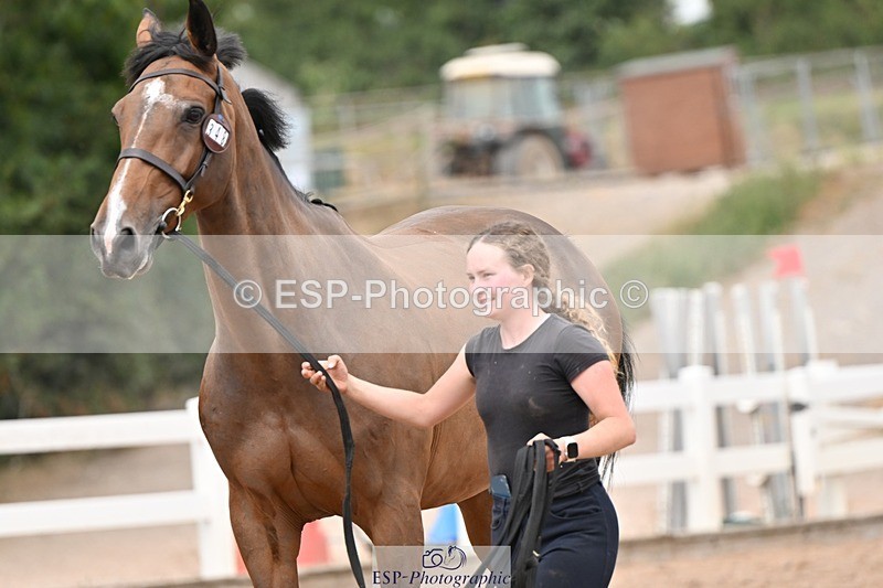 250716-162005-02574 - Trot Up 3.30 to 4.30