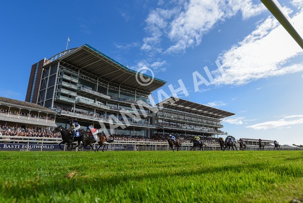 141023-Race 1-Purosangue-3855 - Race 1 1.15pm Coral Rockingham Stakes