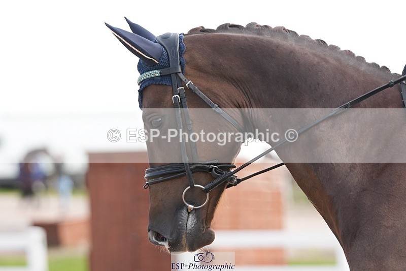 250906-104256-01541 - 006-Verity.PerryVogue