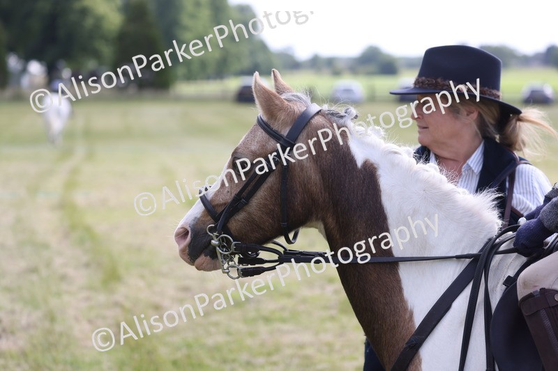 20260614-0673 - Class 20 - Beginners Working Hunter Pony