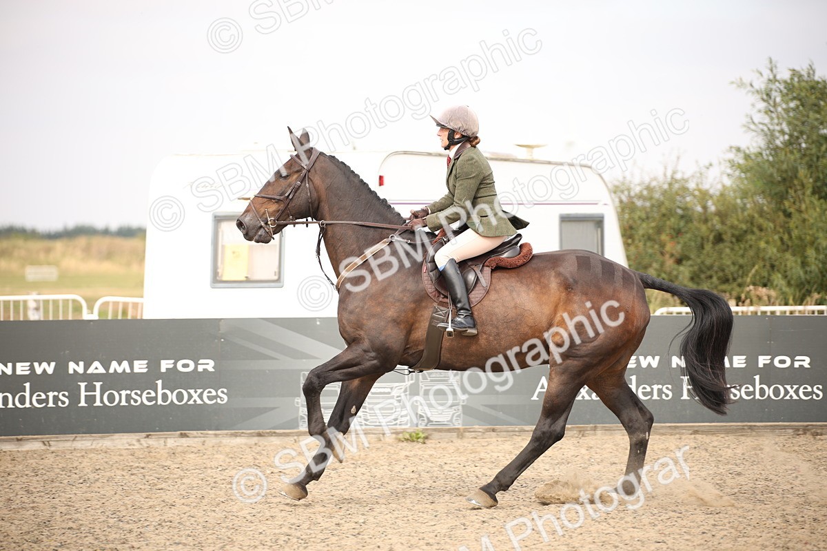 SBM_17090 - Class 409b - Working Veteran 80cm (20+)