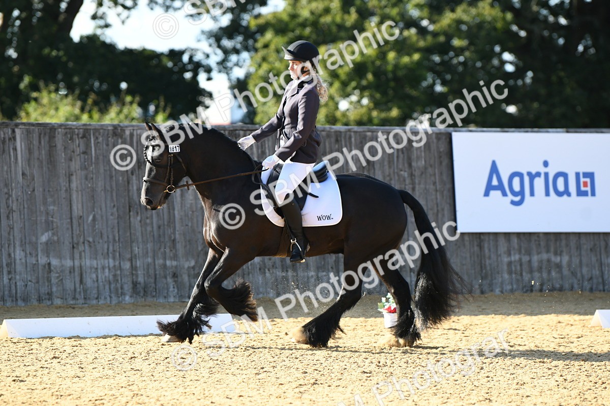 SBM_28467 - D16 - Small Tour Championship - Novice 28