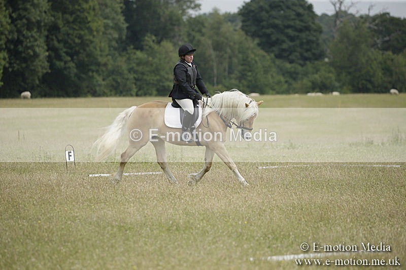 B230619-0422 - Bourne Valley Riding Club Summer Show 23/06/19