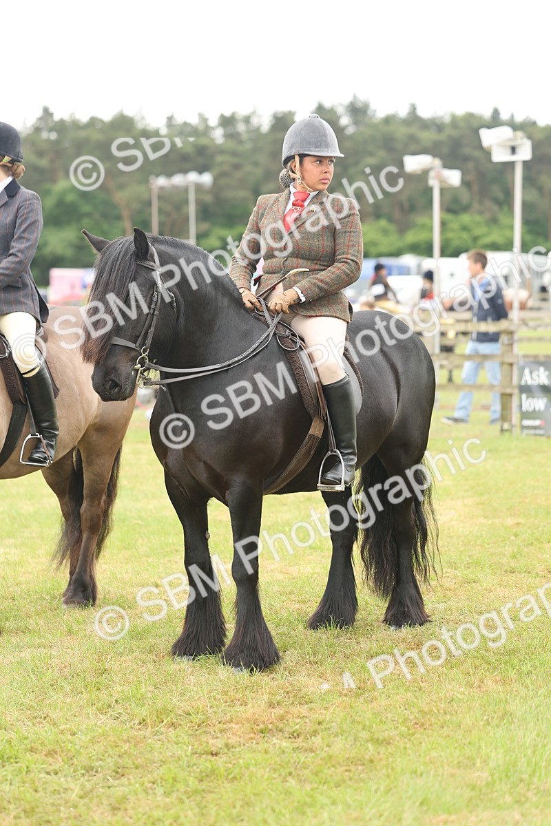 SBM_09029 - Class 78-80 - Ridden M&M Non Welsh Ponies