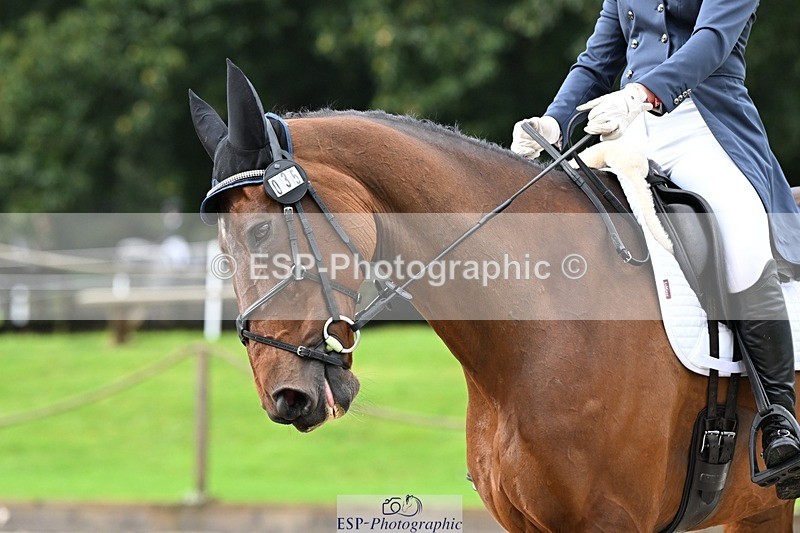 231019-105818-01698 - 035-ZADOK.D-Charlie.Piper-DR