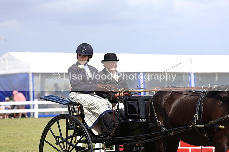 3E7A2749 - Class 12: Open Driving