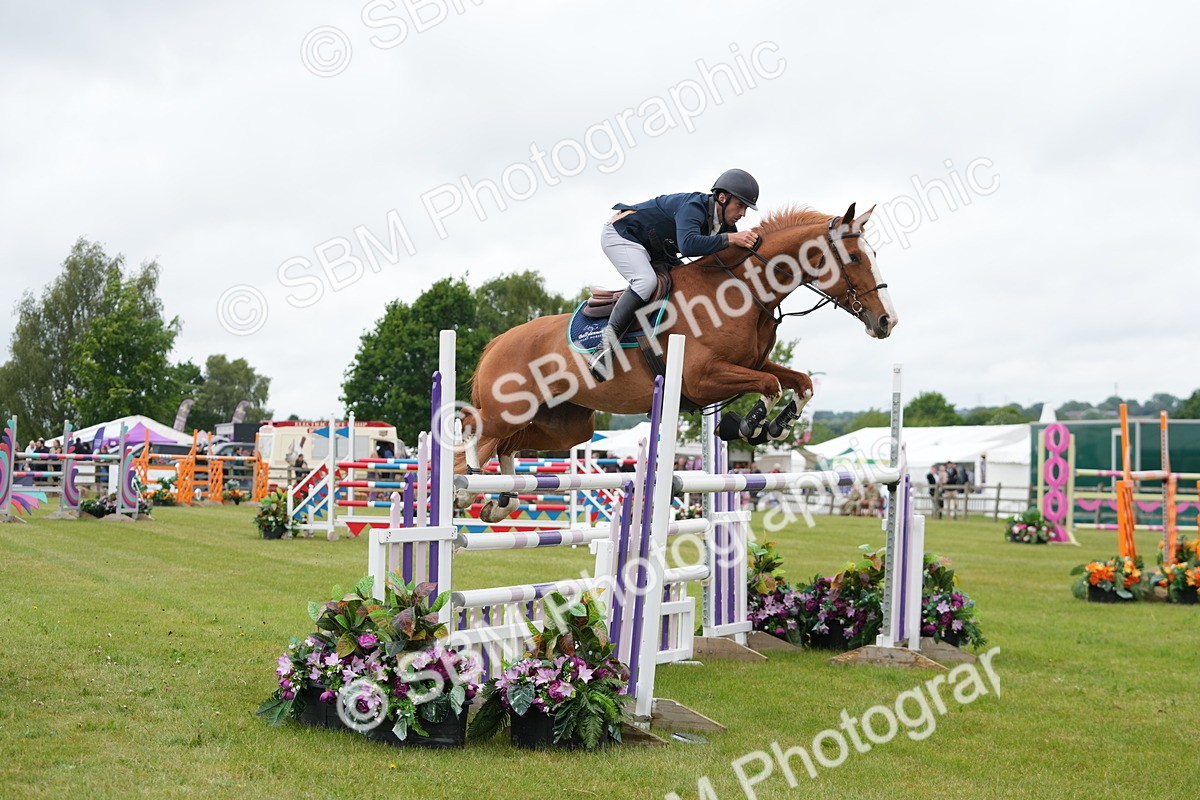 SBM_03462 - Class 201 - British Horse Feeds Speedi Beet Horse of the Year Show Grade  C
