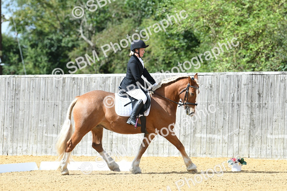 SBM_03123 - D7 Small Tour Championship Prelim 1