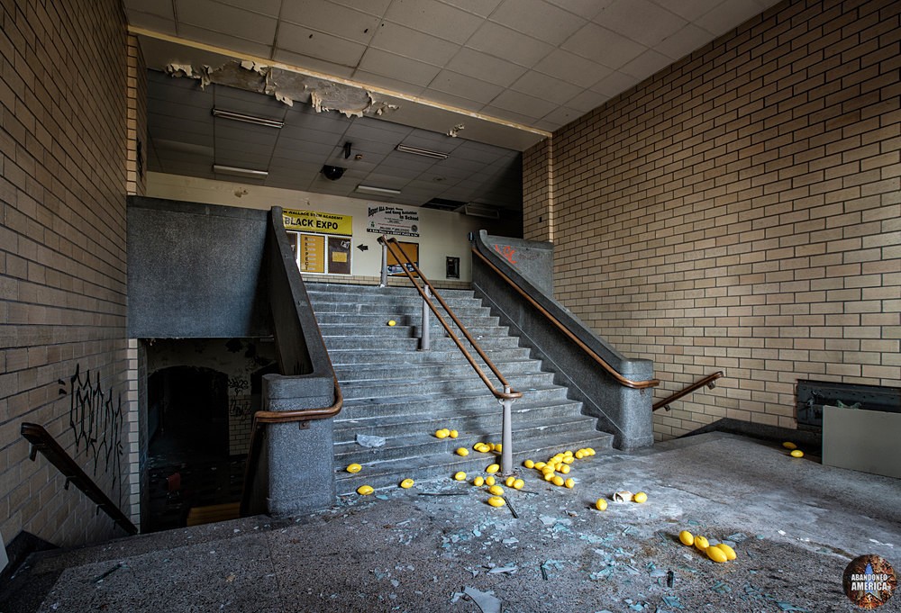  - Dismantling the Dream: The Closure of American Public Schools