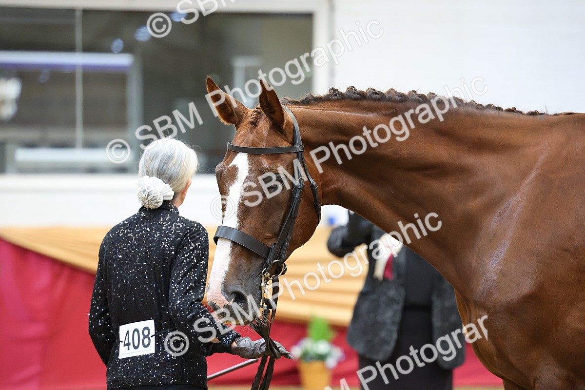 SBM_22721 - Class 903 - Supreme Final - IH Pre Vet