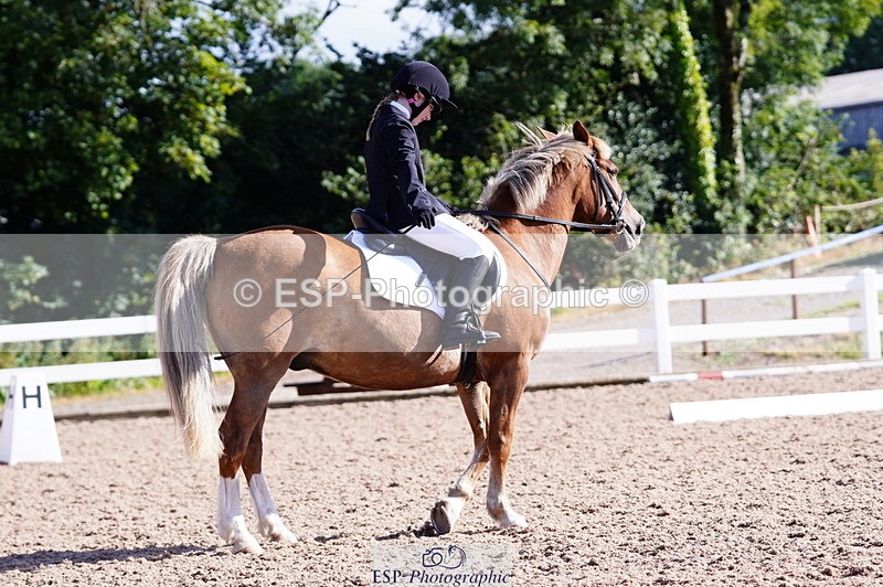 240809A-091416-00187 - Dressage Competition