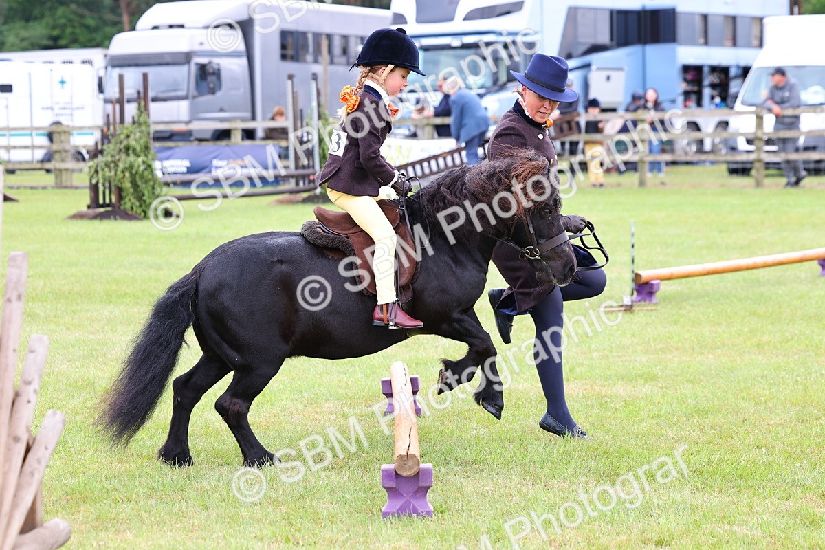 SBM_08164 - Class 42-43 - LIHS BSPS Heritage Working Sports Pony