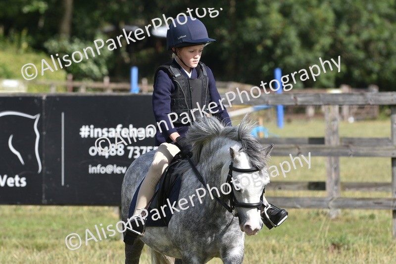 20250831-0459 - Class 7 - Absolute Novice 35cm