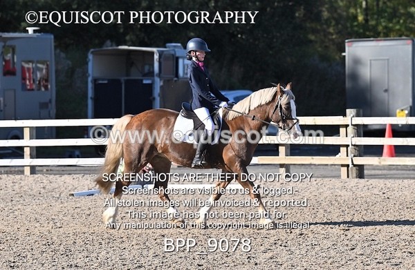 BPP_9078 - SHORT ARENA INTRO 3