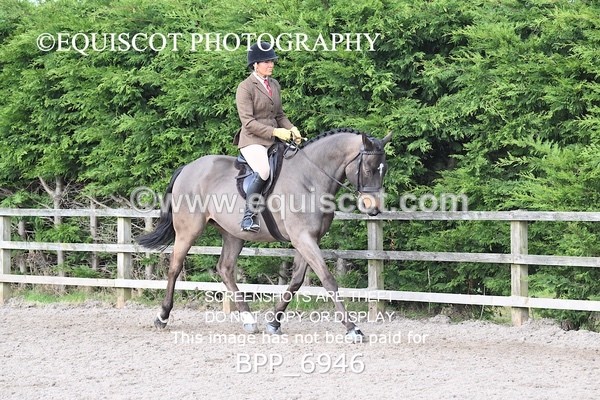 BPP_6946 - RING 1  (RIDDEN HORSES / IN HAND / VETERAN ETC)