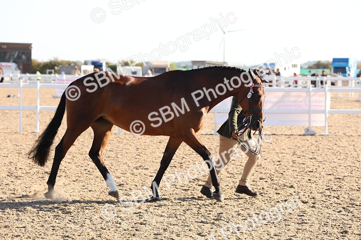 SBM_10814 - Class 201 - Best Turned Out - IH