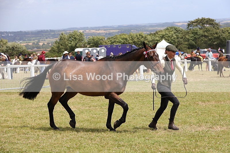 1X9A4906 - Class 35: Veteran In Hand