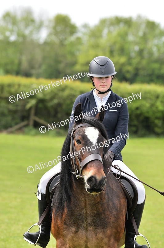 20260426-2429 - Class 21 - Working Hunter Ponies