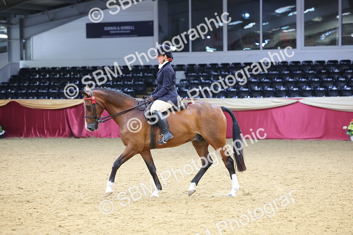 SBM_23701 - Class 904 - Supreme Final Ridden Diamond