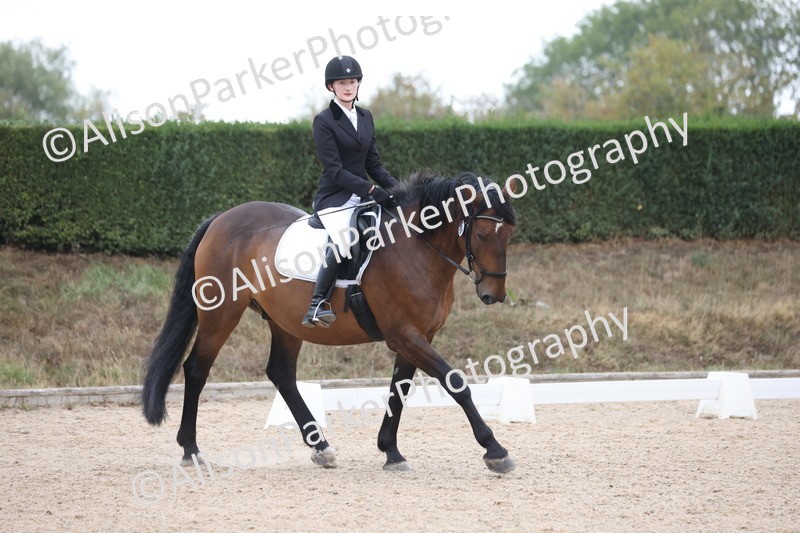 20250820-0338 - Class 11 - My Quest Novice 3