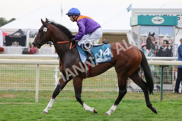 yr22072022r7-25 - Race 7 8.25pm The Sky Bet Go-Racing-In-Yorkshire Summer Festival Stakes