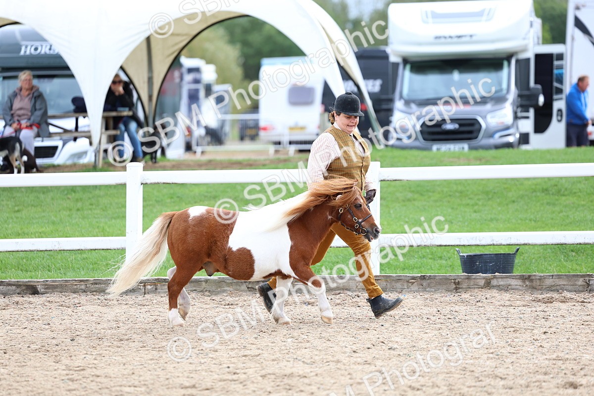 SBM_05837 - Class 29 - IH Veteran Pony