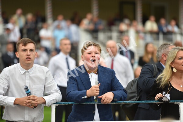 yr23072021r6-12 - Race 6 8.30pm Sky Bet Go-Racing-In-Yorkshire Summer Festival Stakes