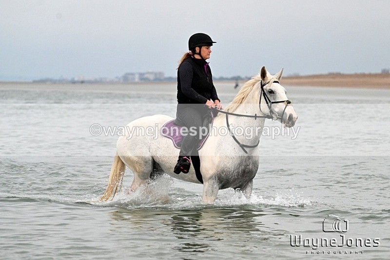 WJ7_9248 - Hayling Island Beach Shoot 22-09-24