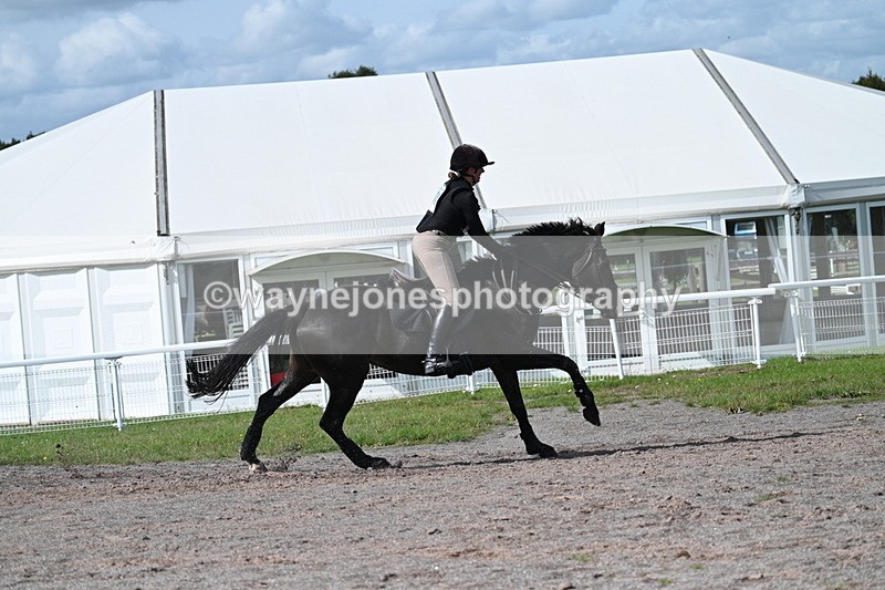 WJ7_2243 - Time 13:17 to 13:53