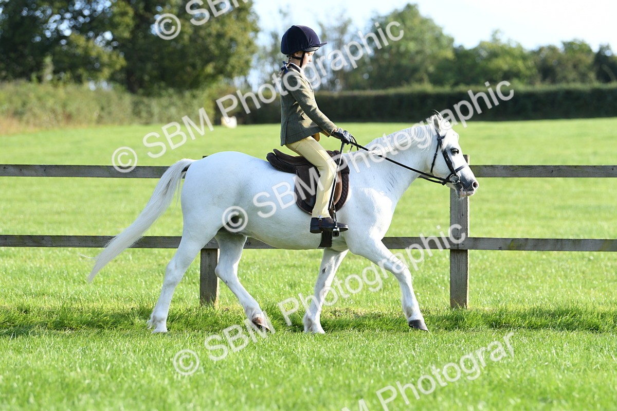SBM_53993 - S23 - 1st Ridden Mountain & Moorland Pony