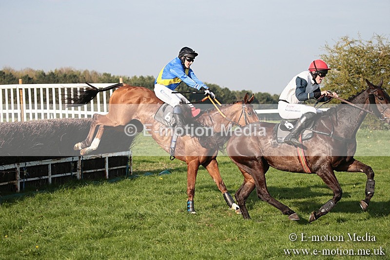 PtP 210418 642 - South & West Wilts Point-to-Point Larkhill 21/04/18