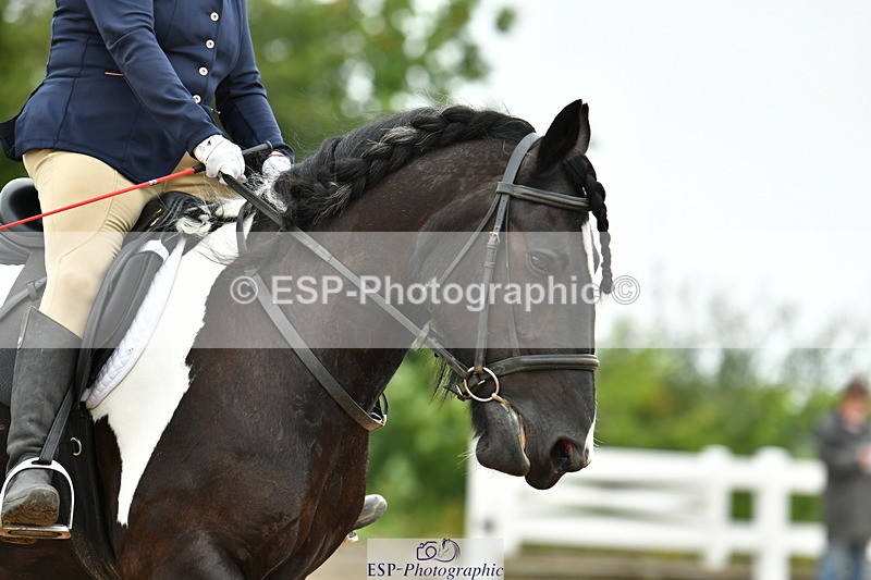 230708A-105211-02434 - Prelim 13