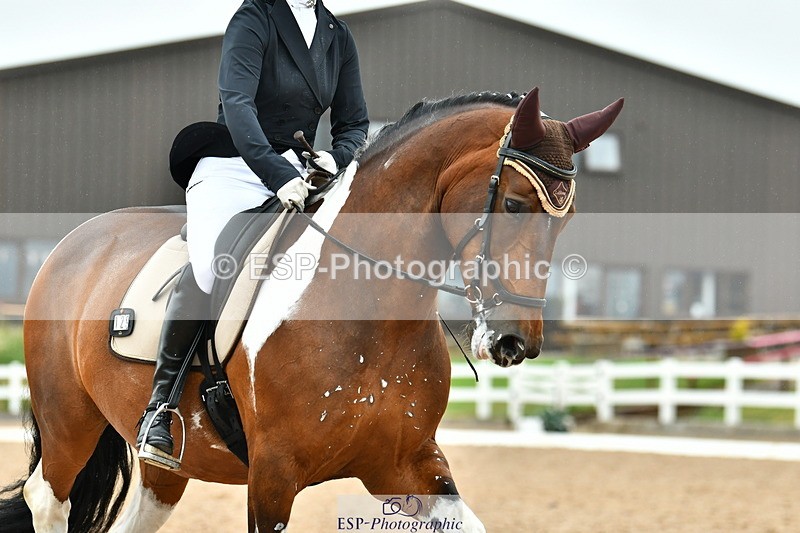 230630A-133623-02408 - Cls 8 Elementary 57