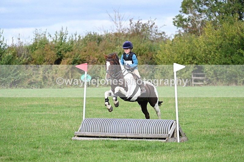 WJ7_8402 - 60cm Pairs