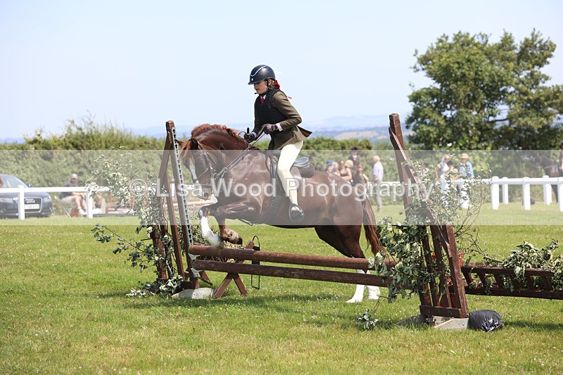 JPP_2419 - Class 21: Working Hunter 60cm