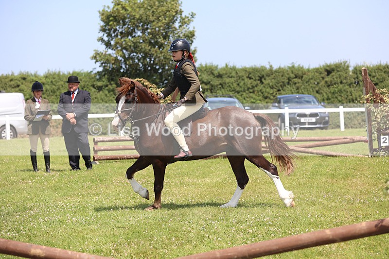 JPP_2408 - Class 21: Working Hunter 60cm
