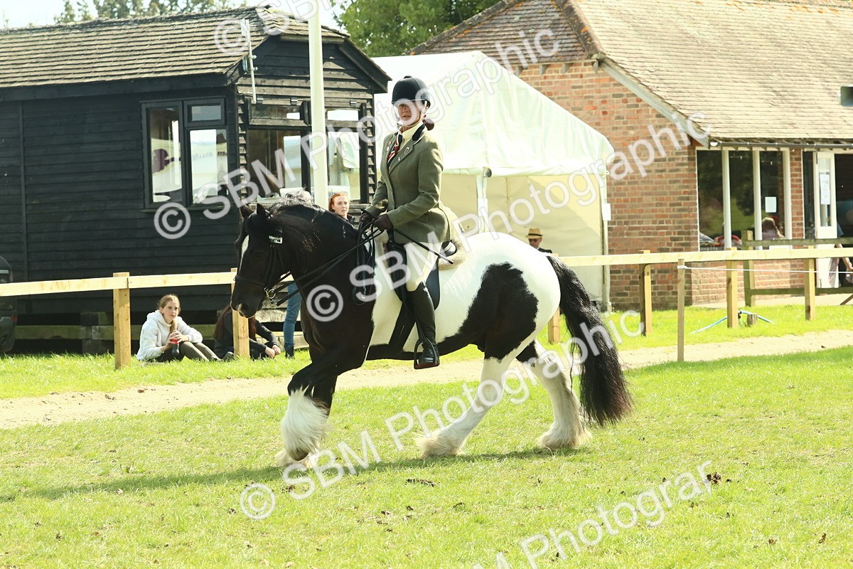 SBM_67575 - S56 - Coloured Pony Ridden